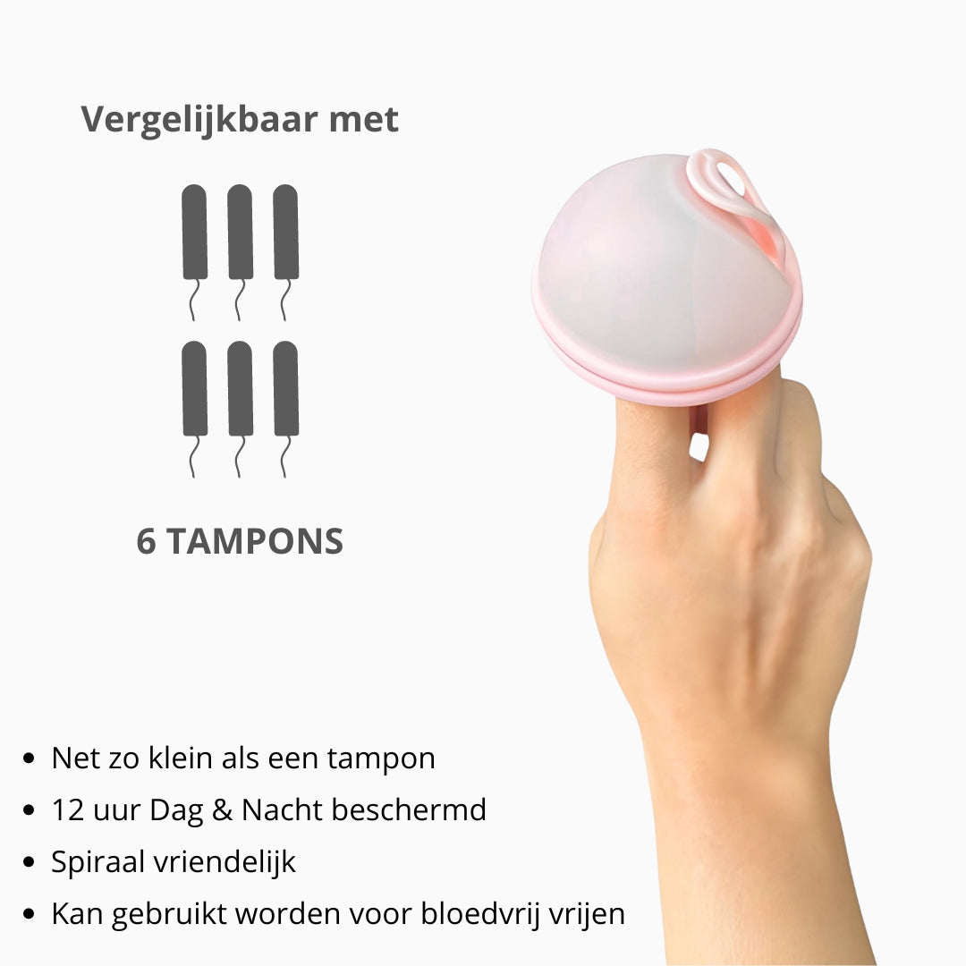 Menstruatiedisc