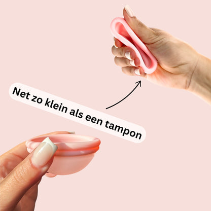 Menstruatiedisc